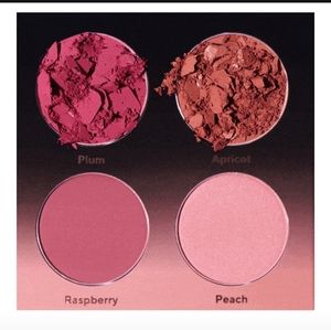 Shades by Shan Blush Palette
